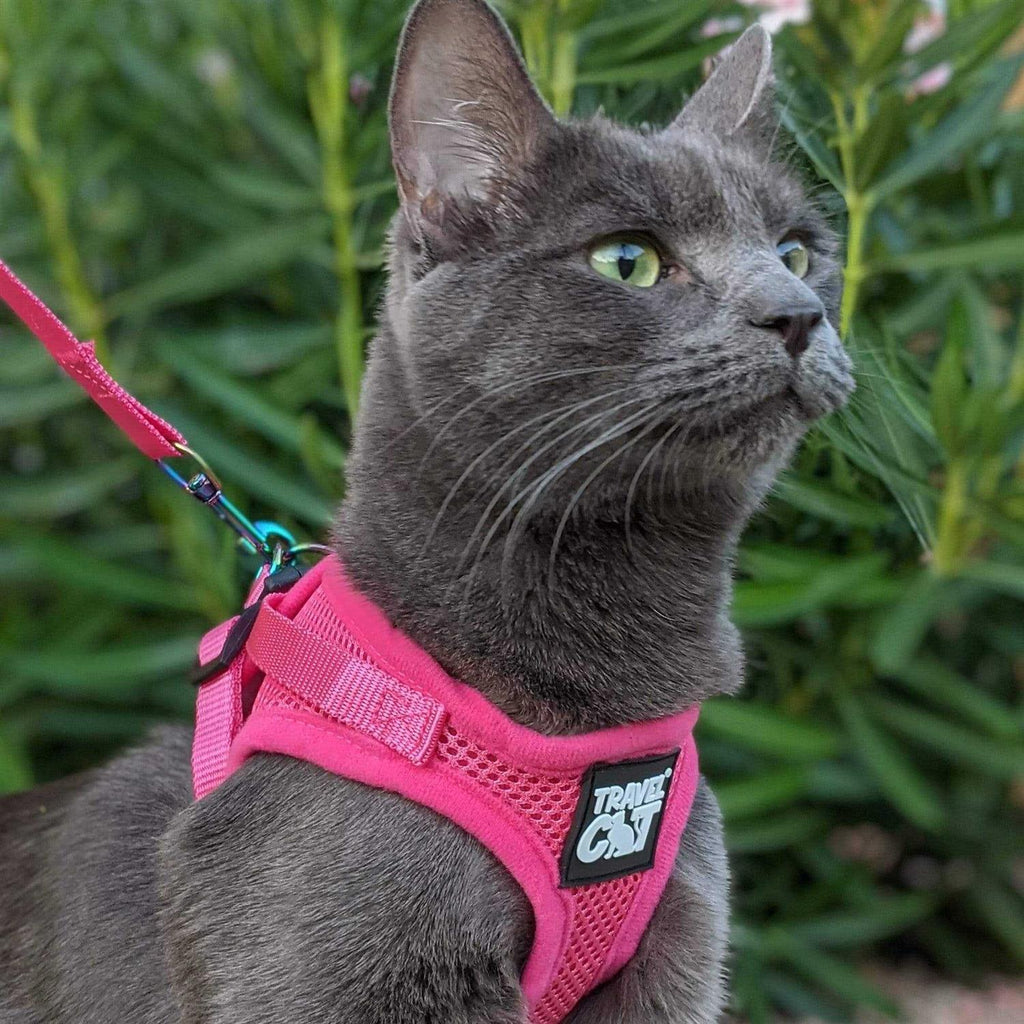 Reflective Cat & Kitten Harness and Leash P218311