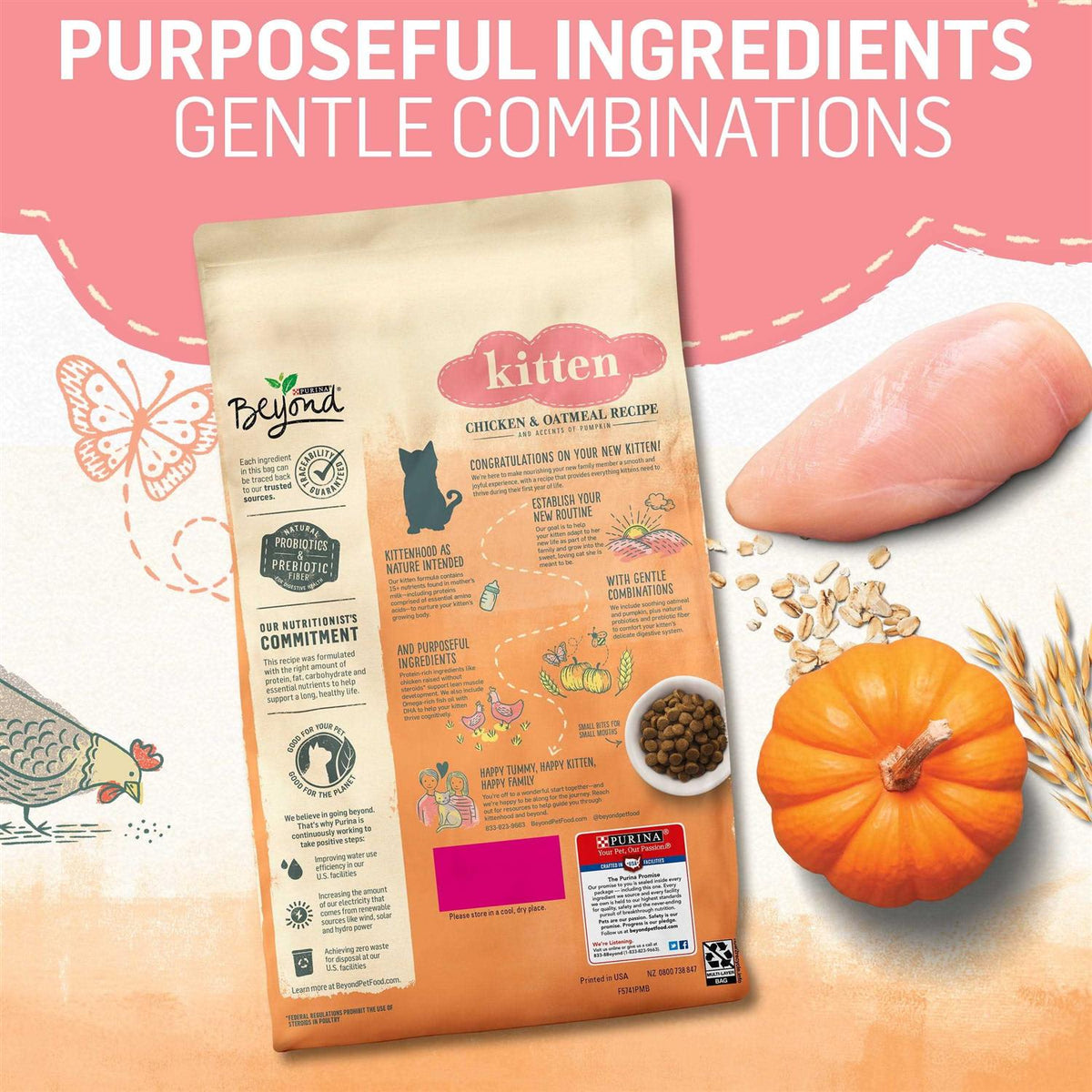 Kitten Food Chicken & Oatmeal R163