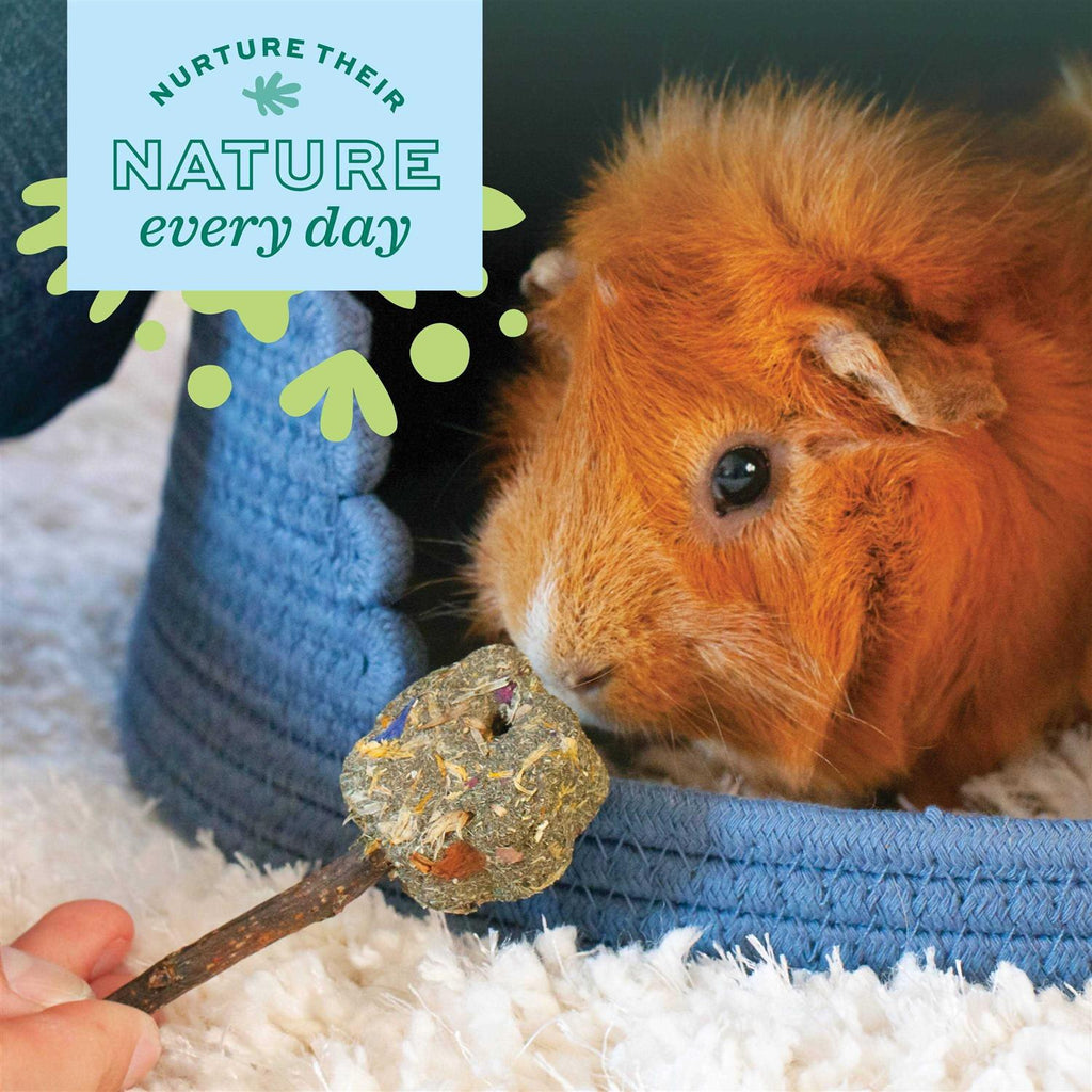 Adult Guinea Pig Food I837970