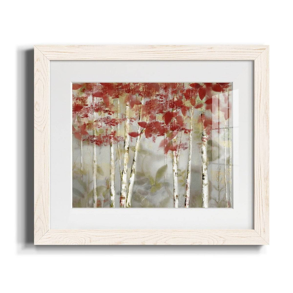Framed Canvas - 20x24 N3611