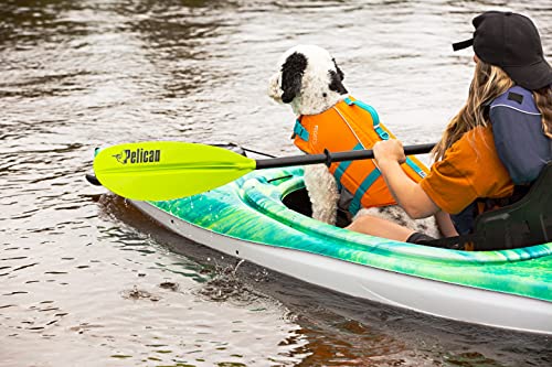 Standard Kayak Paddle with Aluminum Shaft and Polypropylene Blade A158230