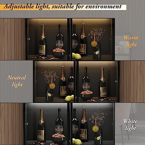 Black Glass Door Cabinet with 4 Shelves and 2 Drawers W1587