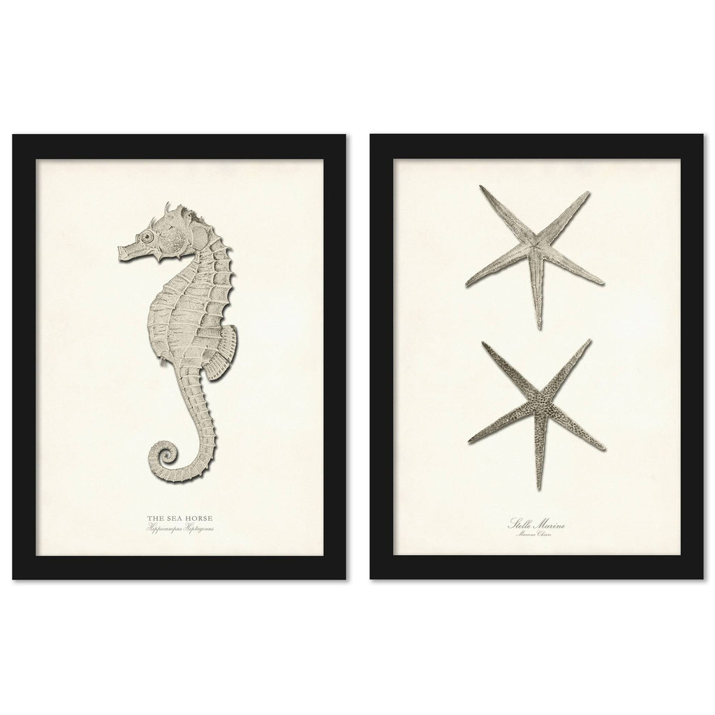 Greige Sea Horse 2 Piece Black Framed Print Set O999