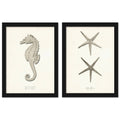 Greige Sea Horse 2 Piece Black Framed Print Set O999