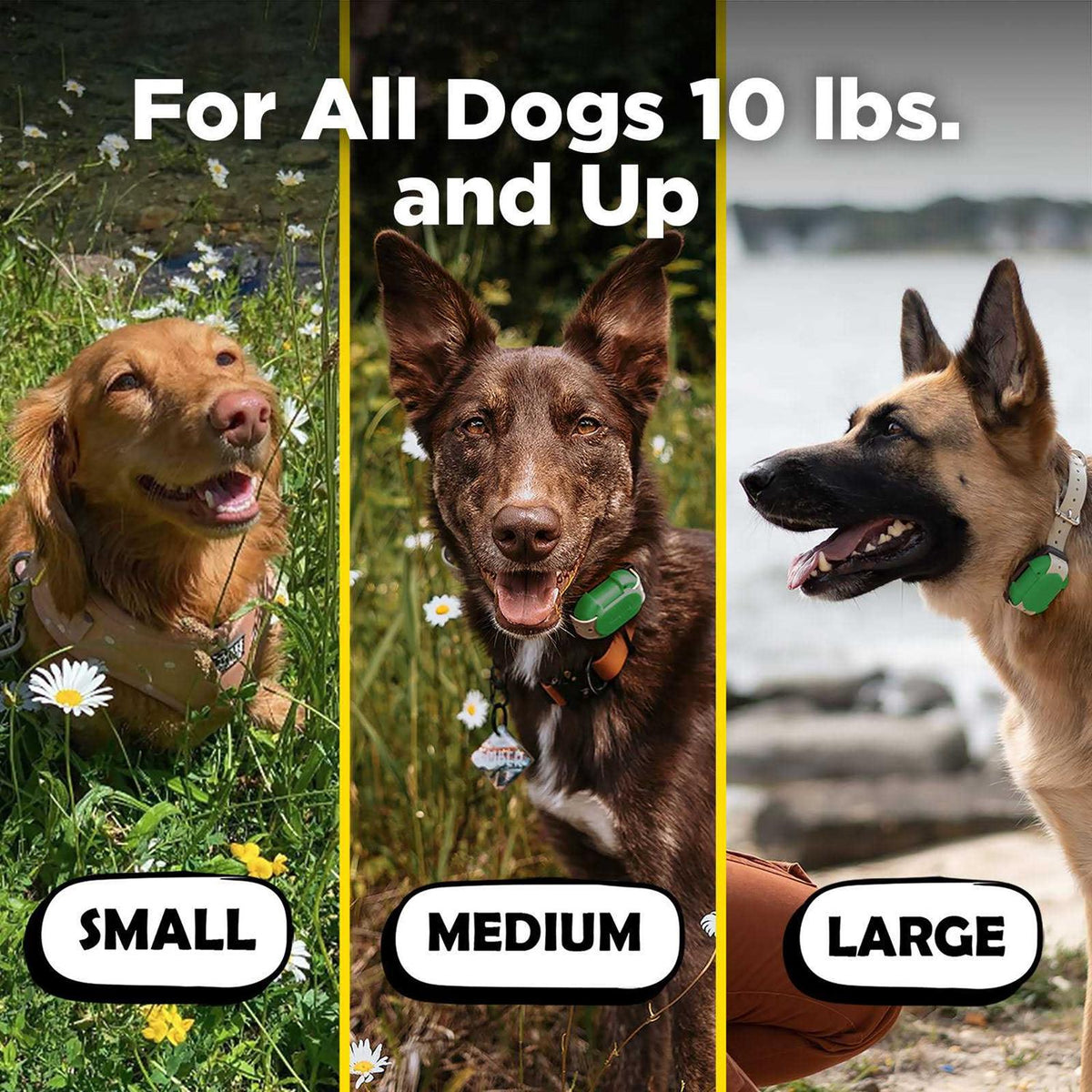 Dog Training Collar V7303