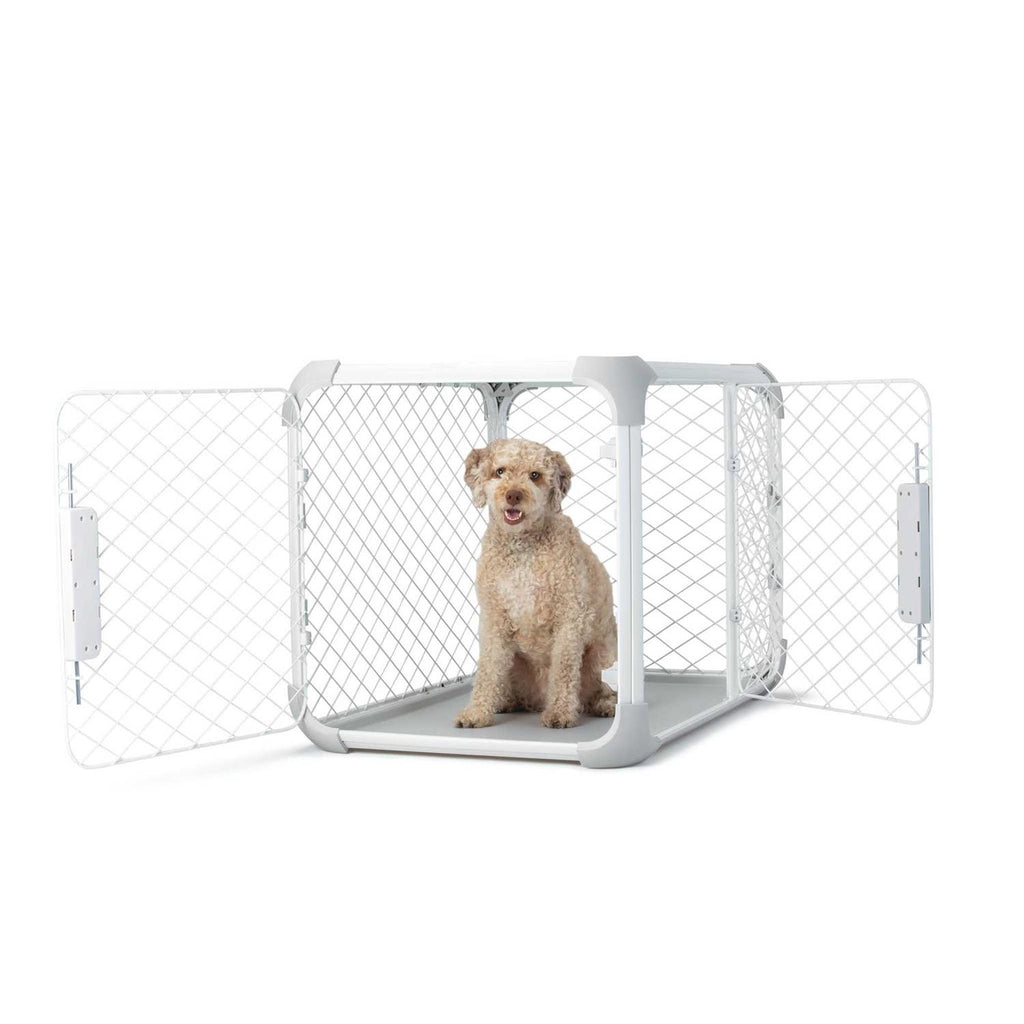 Dog Crate A21631
