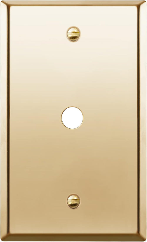 1-Gang Stainless Steel Metal Wall Plate C258