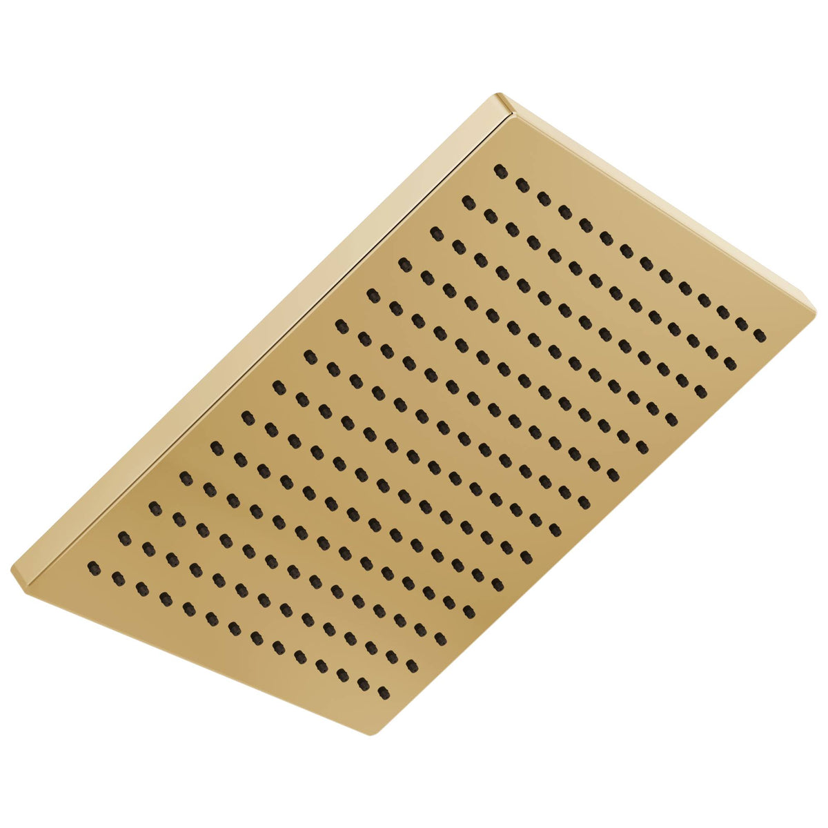Square Raincan Showerhead Polished Gold R85381