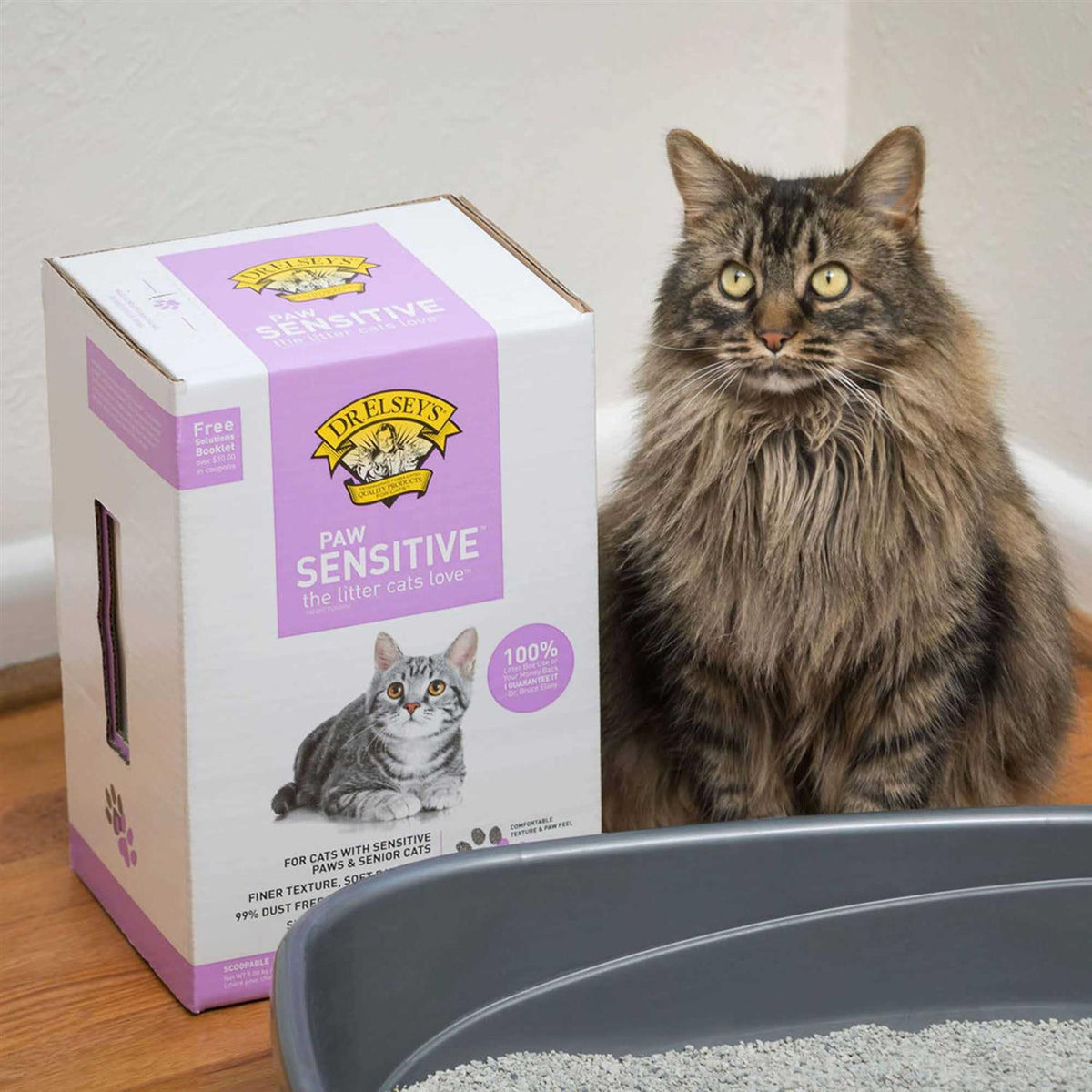 Clumping Clay Cat Litter Q882