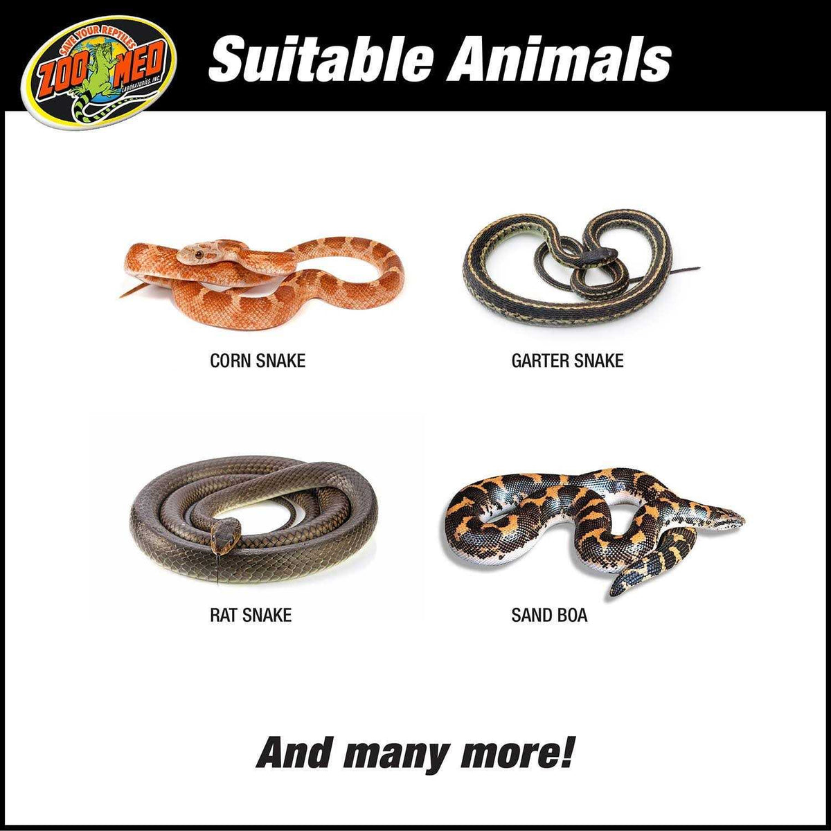 Snake Kit E298864