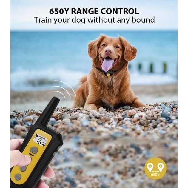 Remote Dog Training Shock Collar B537