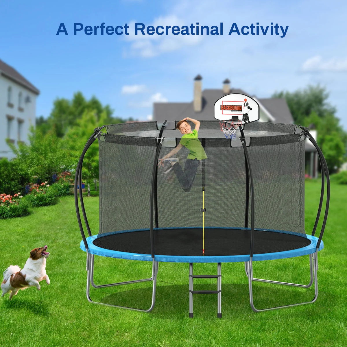 12 ft Trampoline with Enclosure and Basketball Hoop B64156