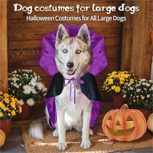 5 Pcs Halloween Pet Costumes G647
