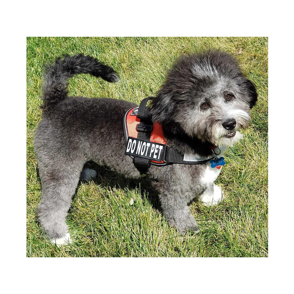 Dog Vest Harness with 2 Reflective Removable Patches N80271