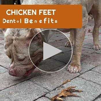 Chicken Feet Dog Treats A9981