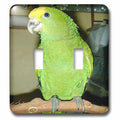 Double Yellow Amazon Double Toggle Switch D83138