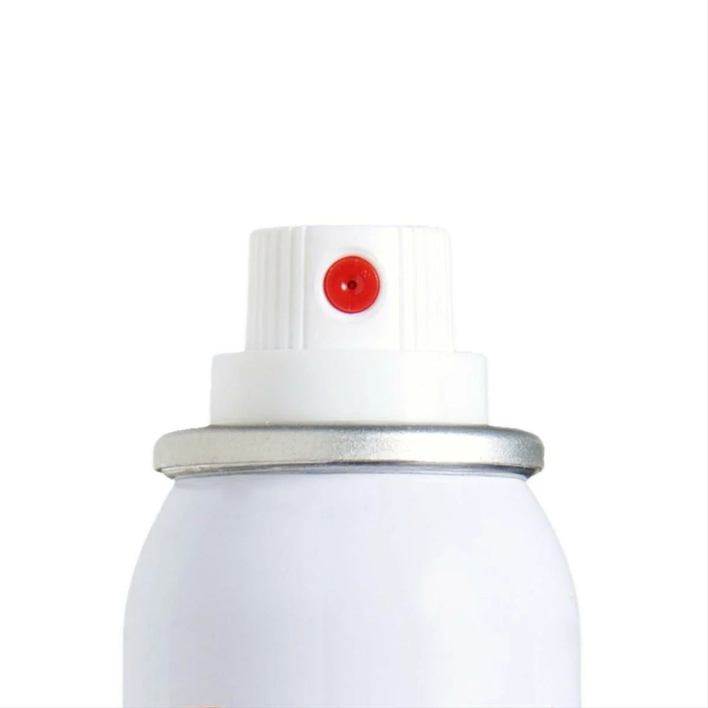 Touch Up Basecoat Plus Clearcoat Spray Paint Kit U828428