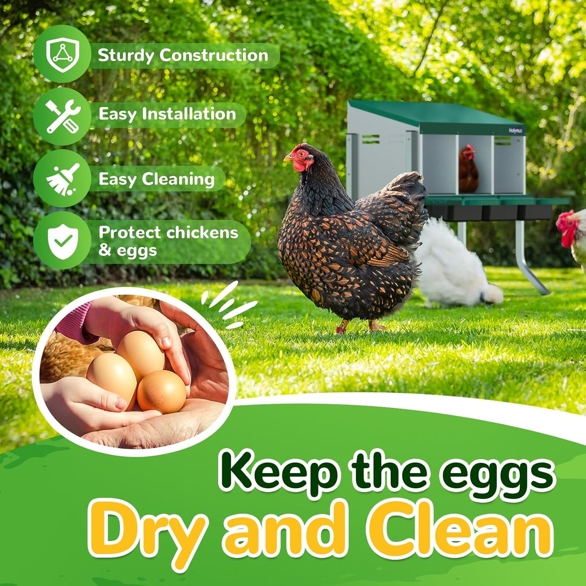 3 Holes Chicken Nesting Box with Metal Legs G535
