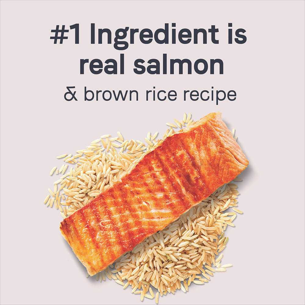 Salmon & Brown Rice Dry Dog Food H7042