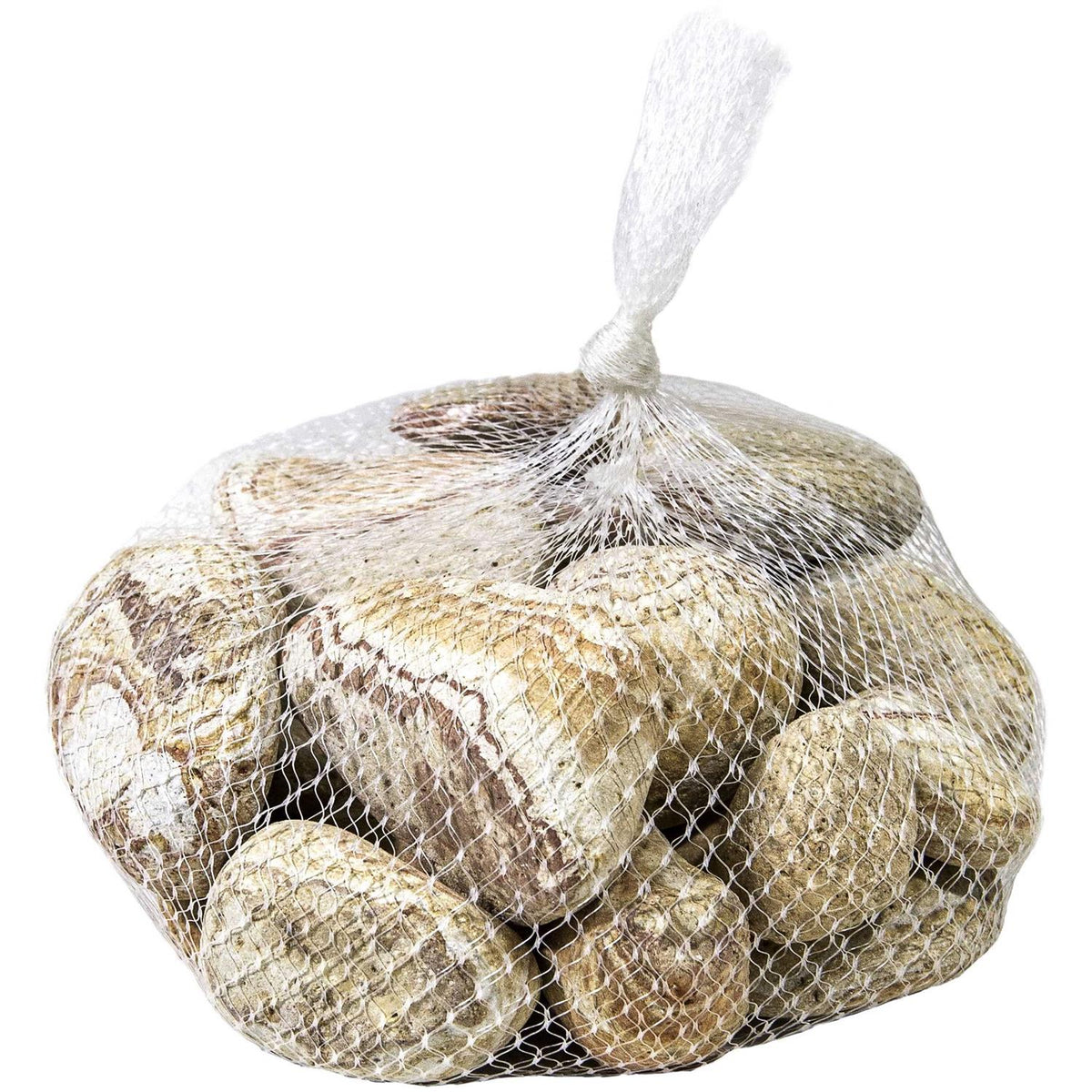 Natural Terrarium Stones R878626
