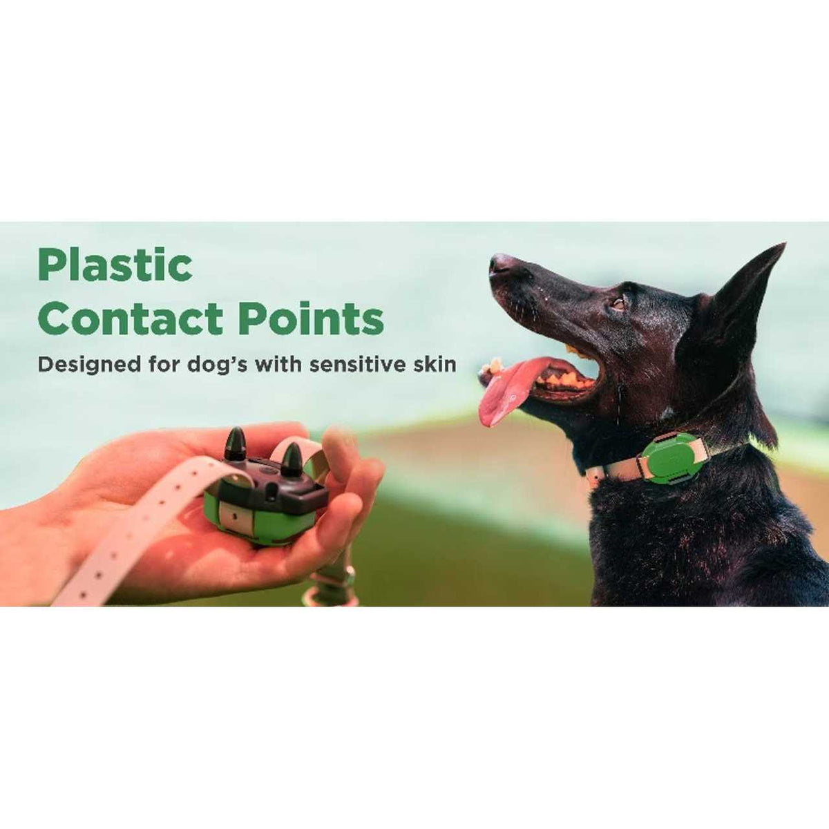 Dog Training Collar V7303