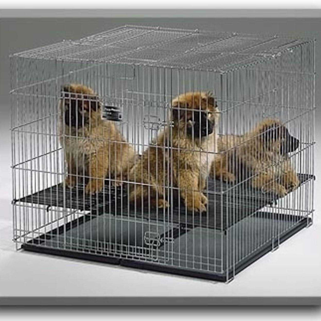 Puppy Playpen with Plastic and Floor Grid F701