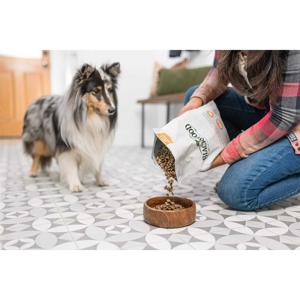 Pet Food O4116