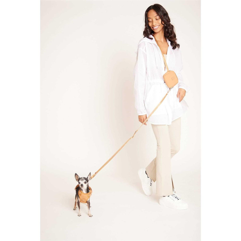 Hands Free Leash I9021