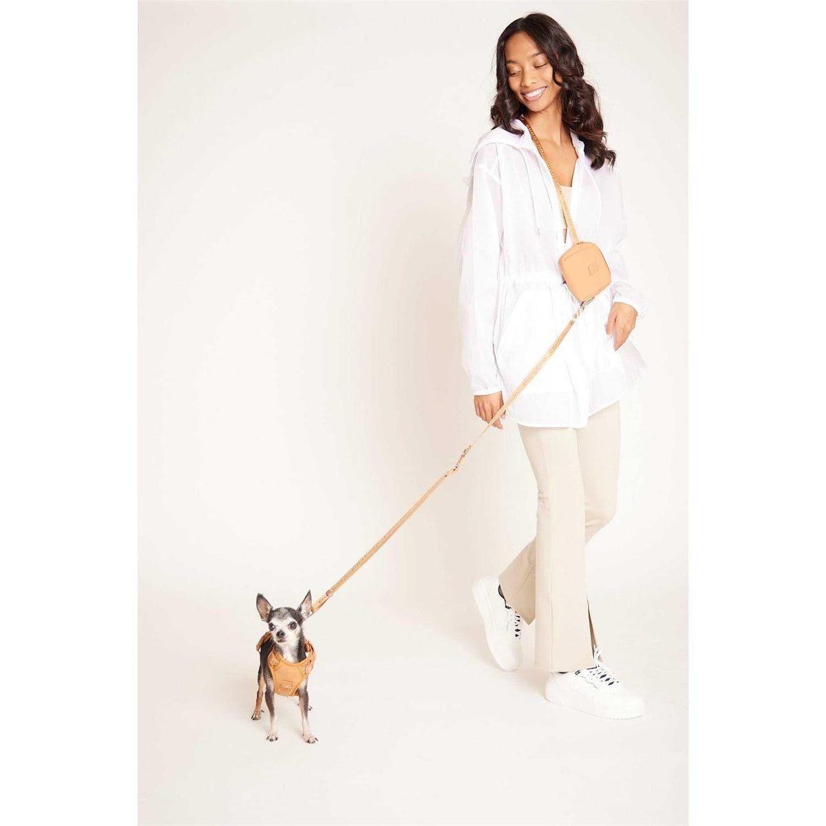 Hands Free Leash I9021