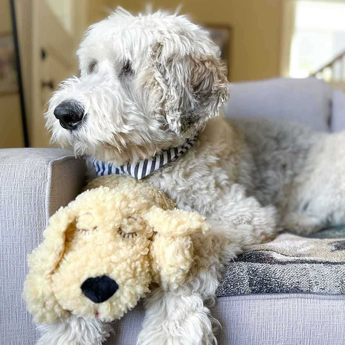 Smart Heartbeat Toy for Pet Anxiety Relief N655209