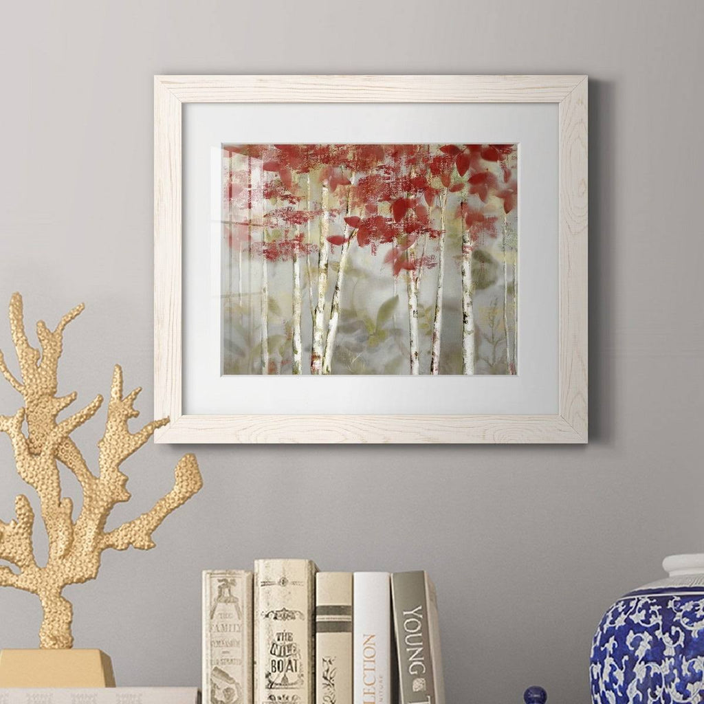 Framed Canvas - 20x24 N3611