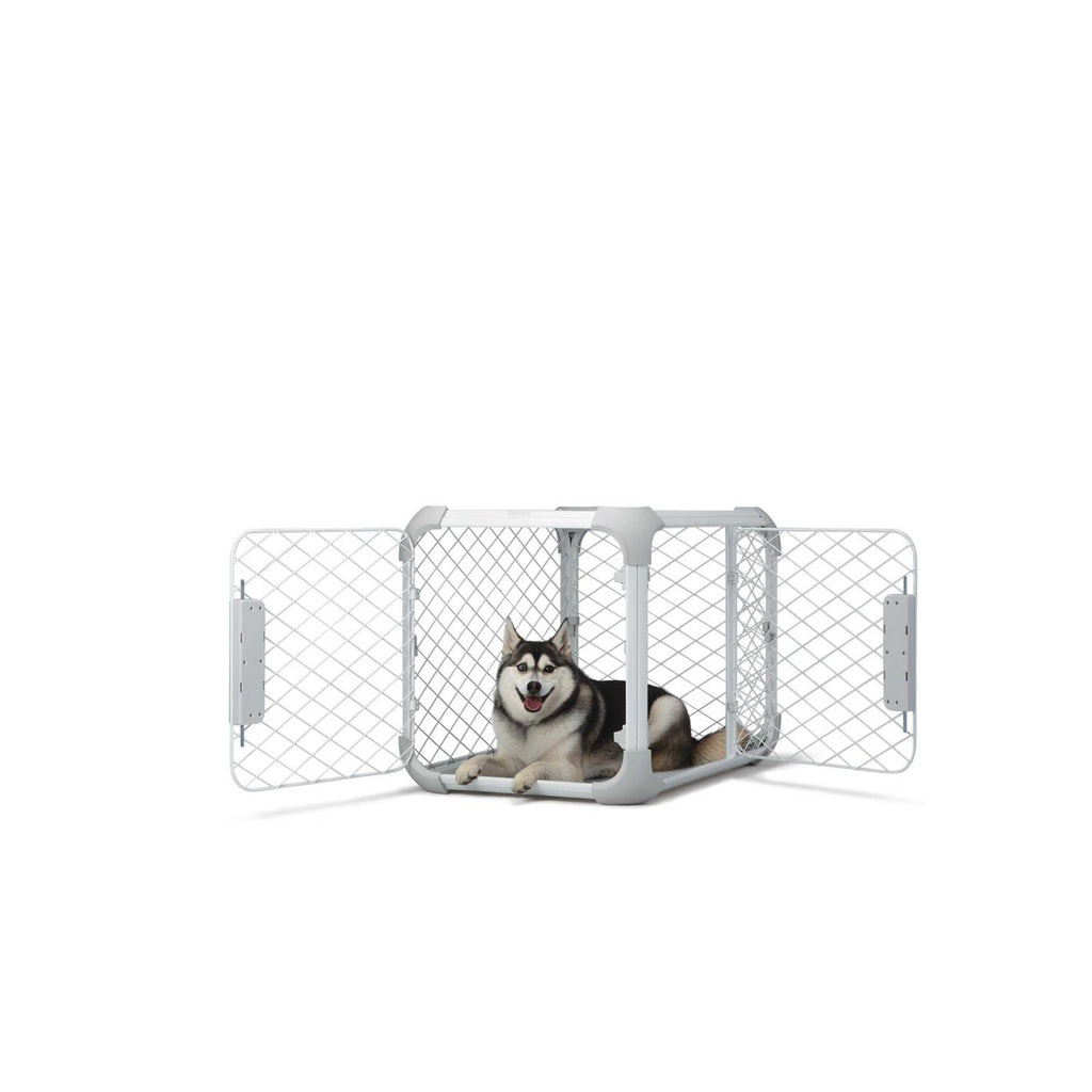 Dog Crate A21631