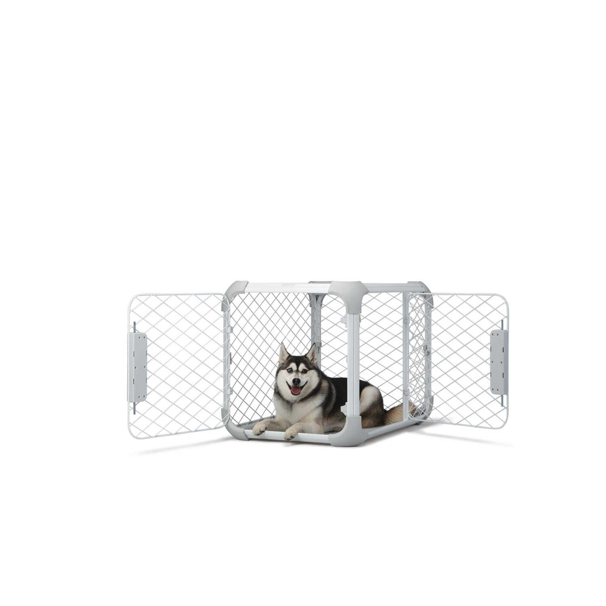 Dog Crate A21631