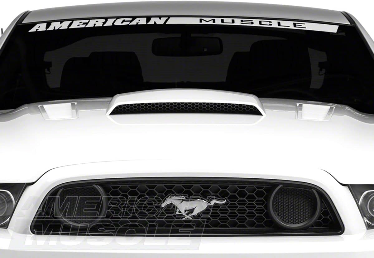 Unpainted Hood Scoop N11421