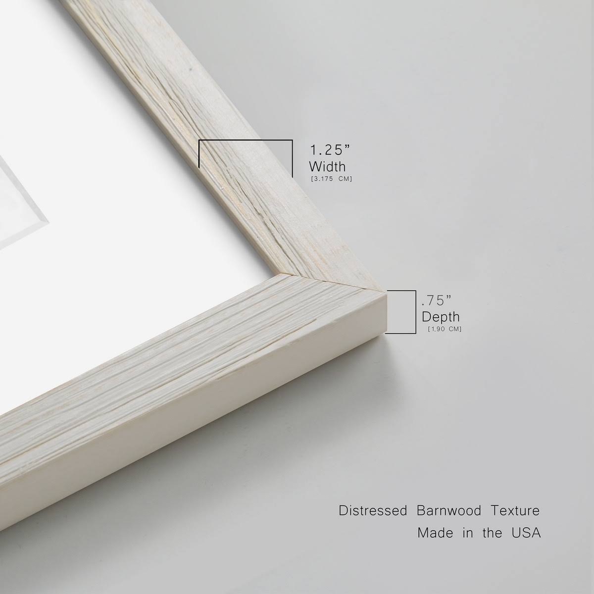 Framed Canvas - 20x24 N3611