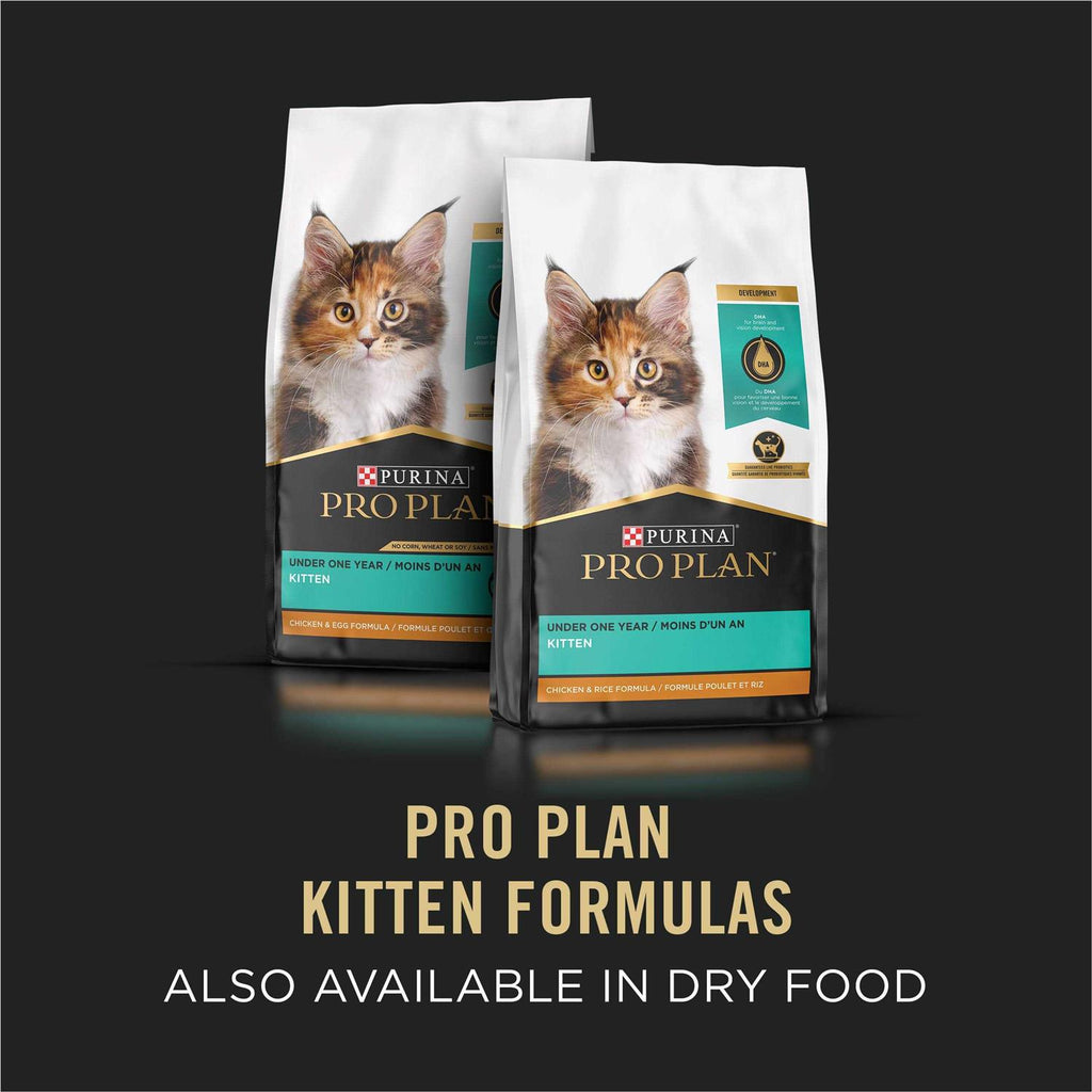 Wet Kitten Food Variety Pack Y1547