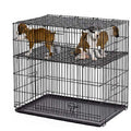Puppy Playpen with Plastic and Floor Grid F701
