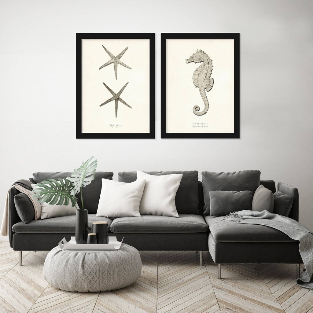 Greige Sea Horse 2 Piece Black Framed Print Set O999