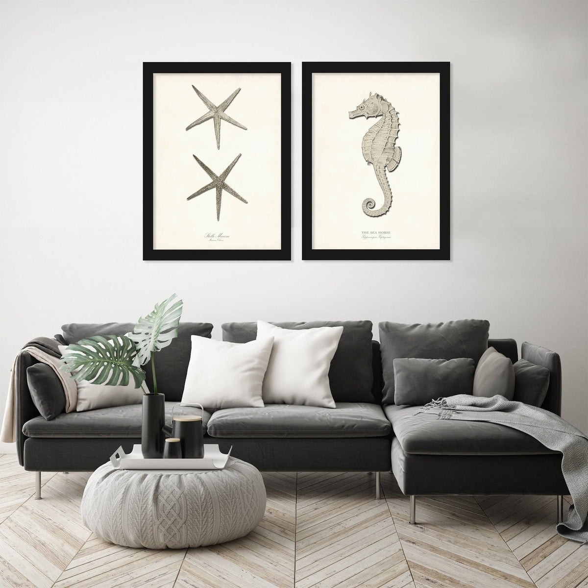 Greige Sea Horse 2 Piece Black Framed Print Set O999