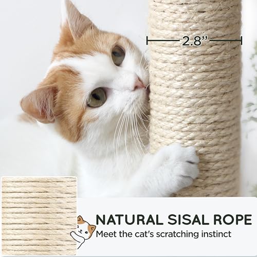 63 Inches Tall Cat Tree with Scratching Posts E510