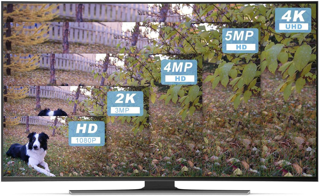 16-Channel PoE 4K Network Video Recorder NVR J998374