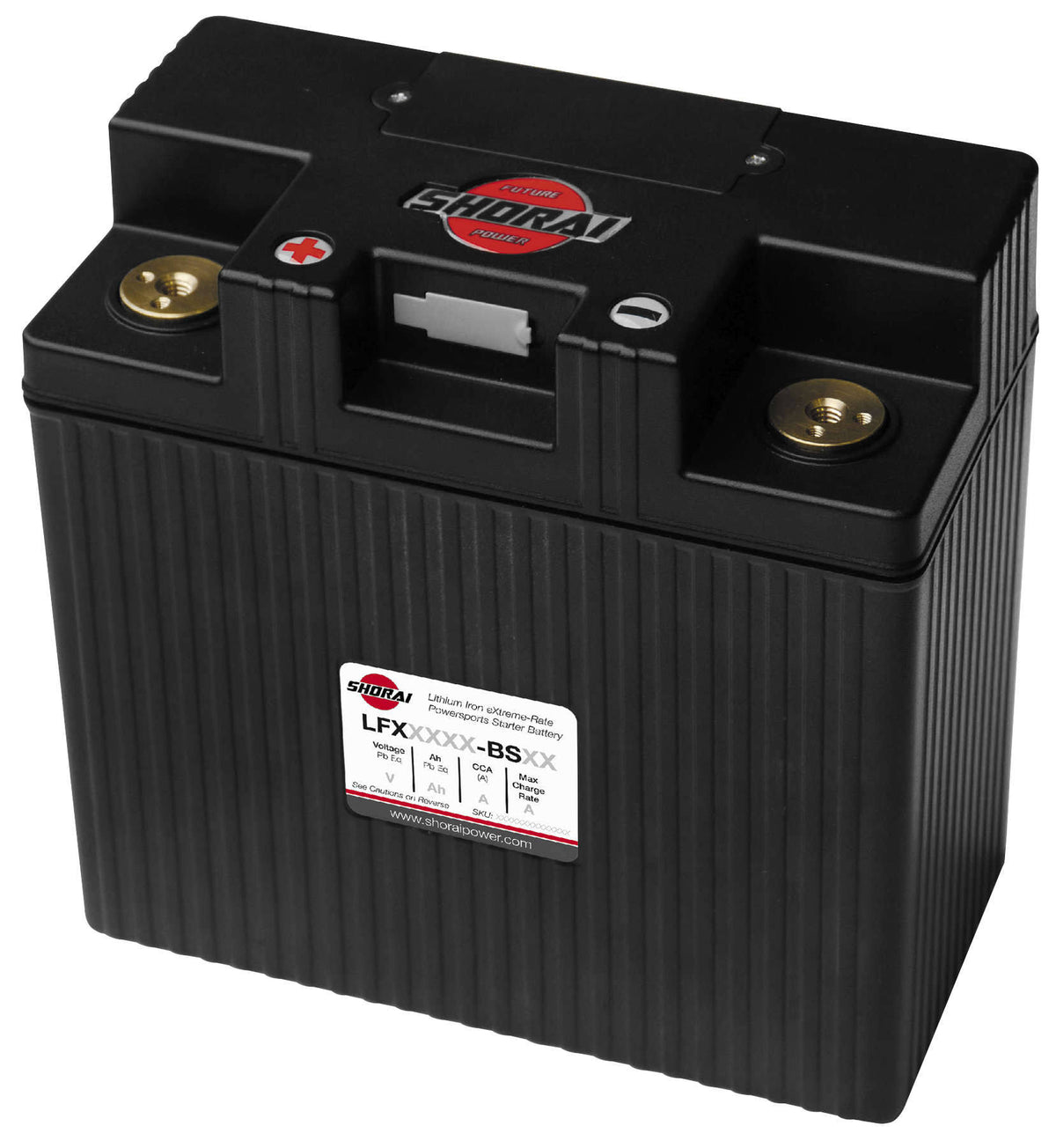 LFX Lithium Battery S46485