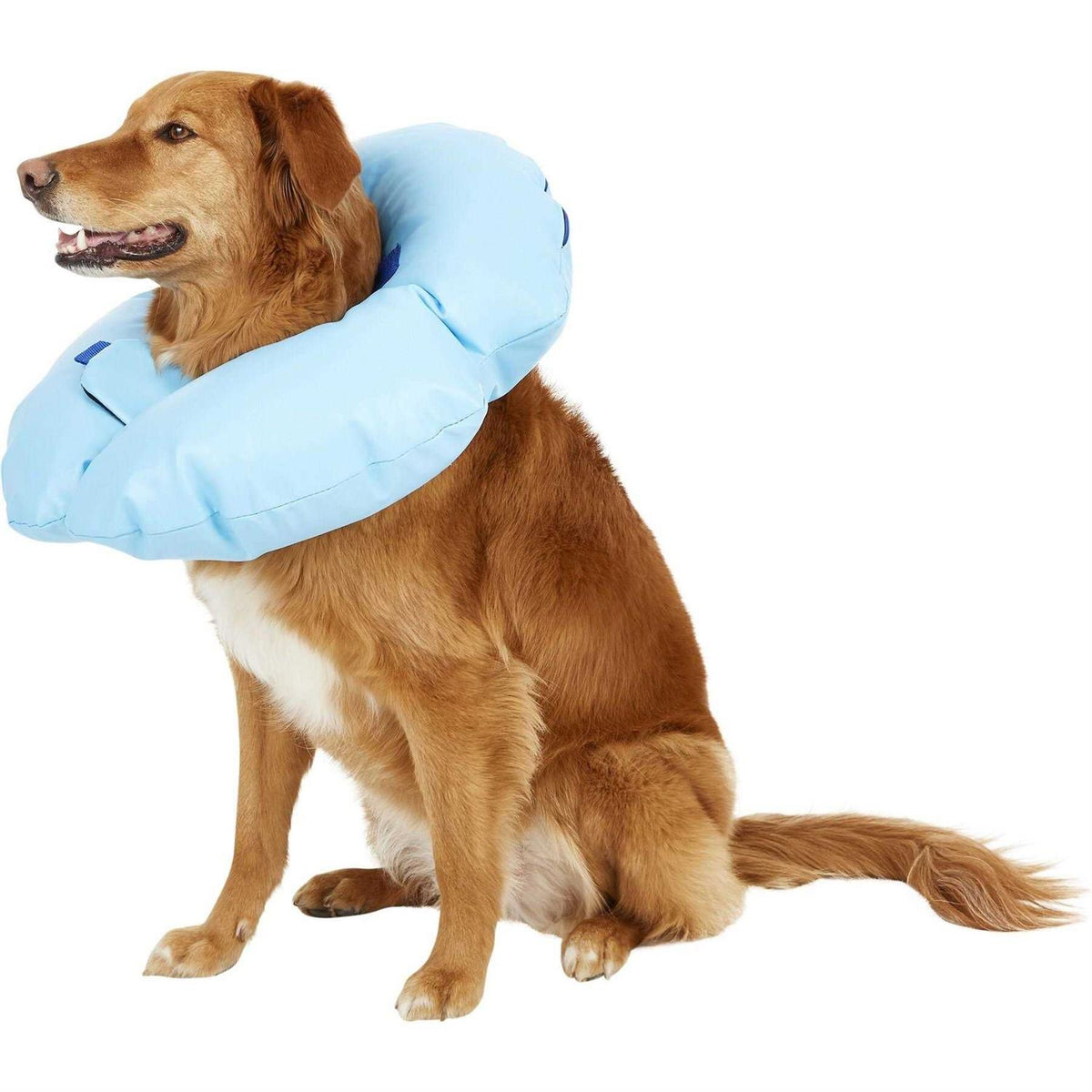 Inflatable Recovery Dog Collar D6771