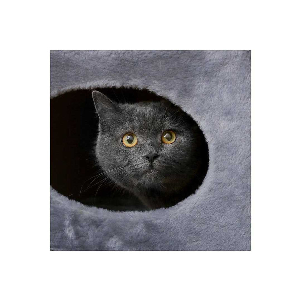 2-Story Cat Condo & Scratching Pad Q23620