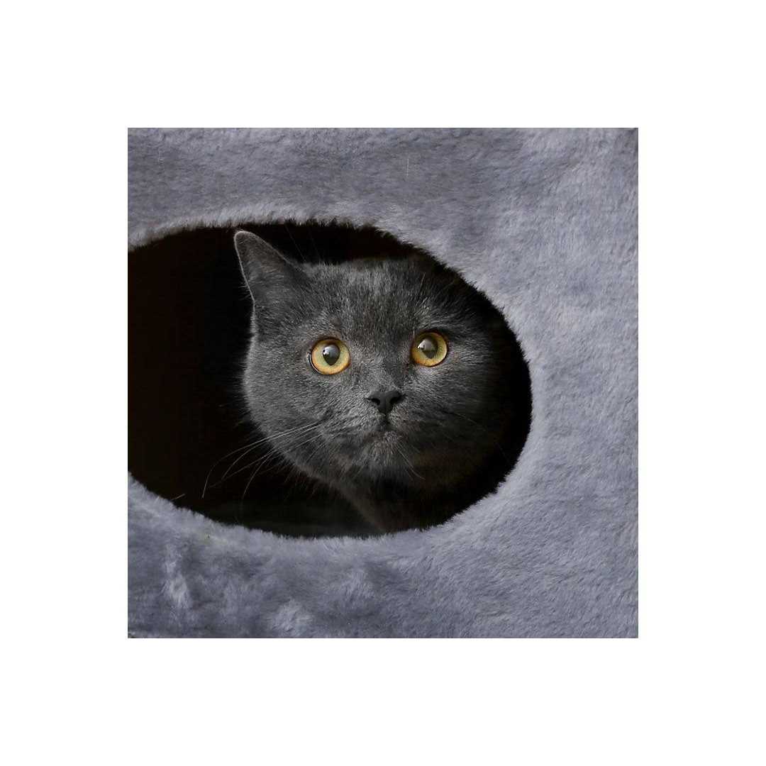 2-Story Cat Condo & Scratching Pad Q23620