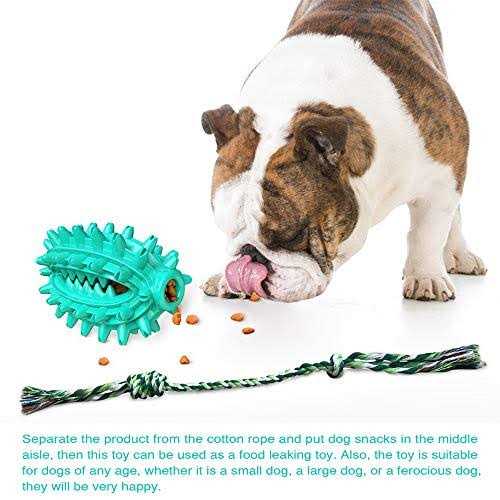 Toothbrush Dog Chew Toy U871549