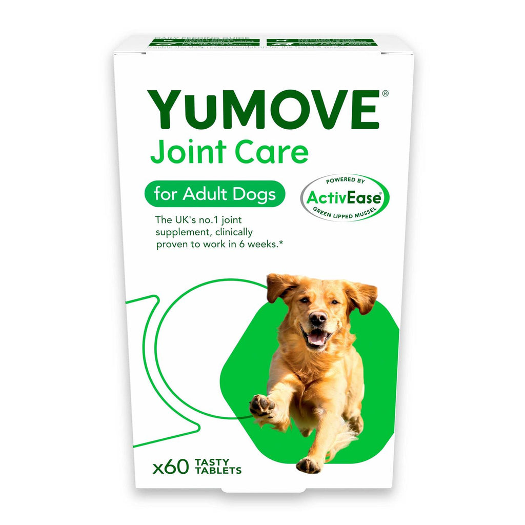 Dog Joint Tablets D131