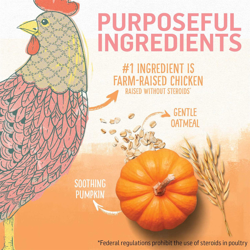 Kitten Food Chicken & Oatmeal R163