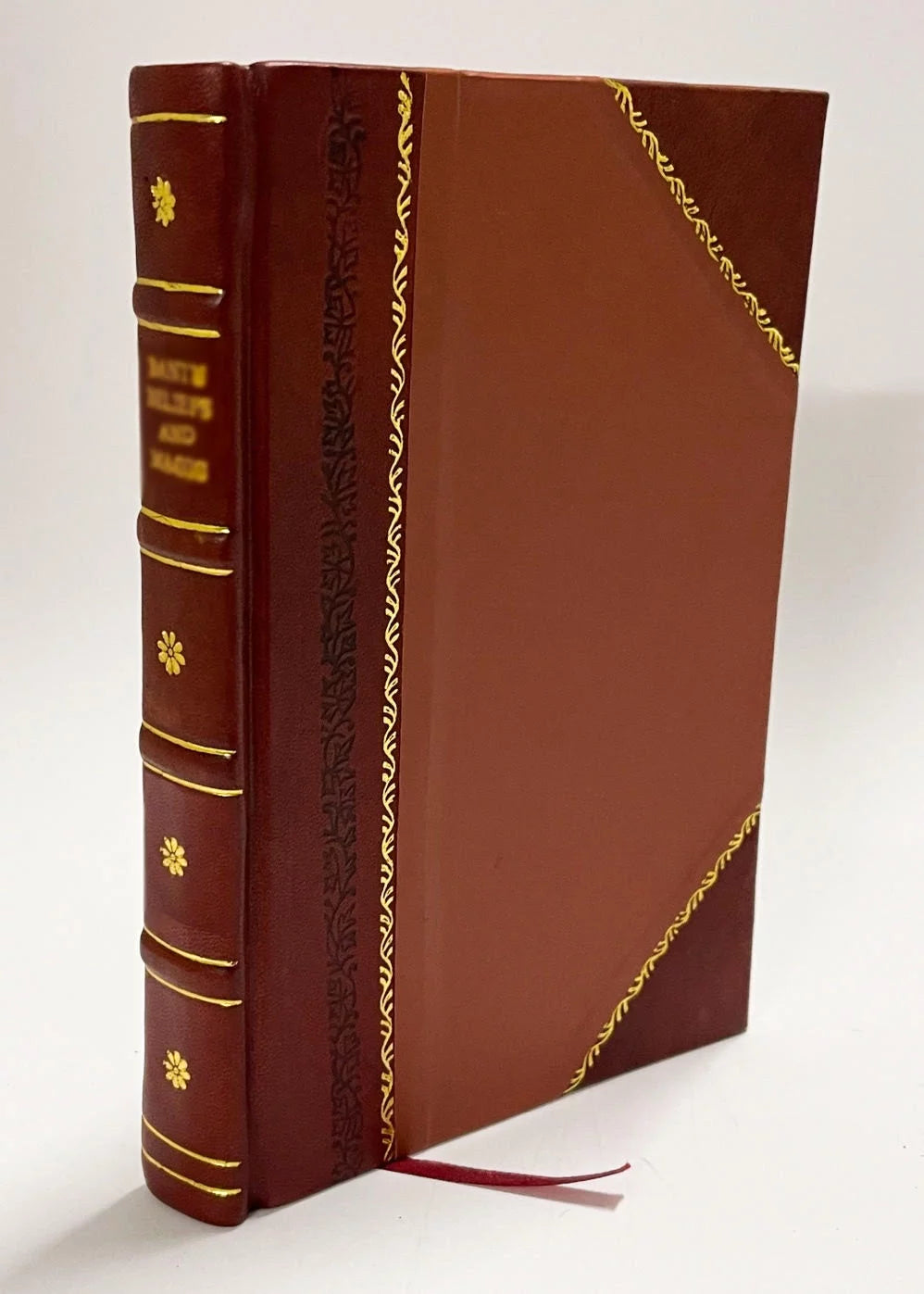 Leather Bound S507