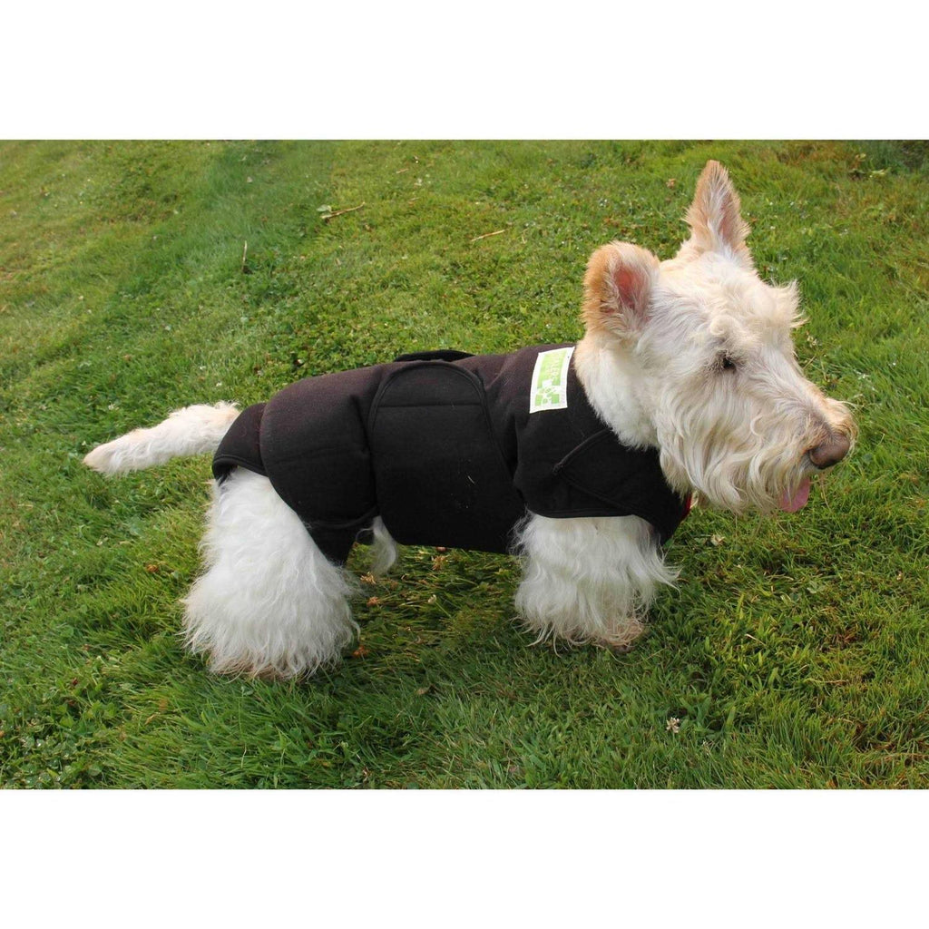 Dog Wrap G490837